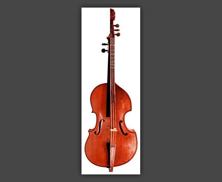 Bass Violincello