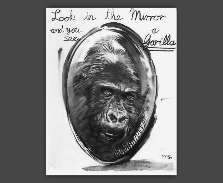 Look in the Mirror and See a Gorilla