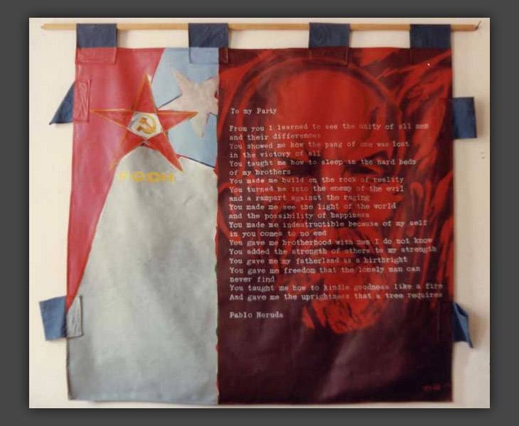 1981/7: Chile Banner, back