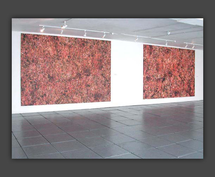 Carnis, Phoenix Gallery, Bristol 2005