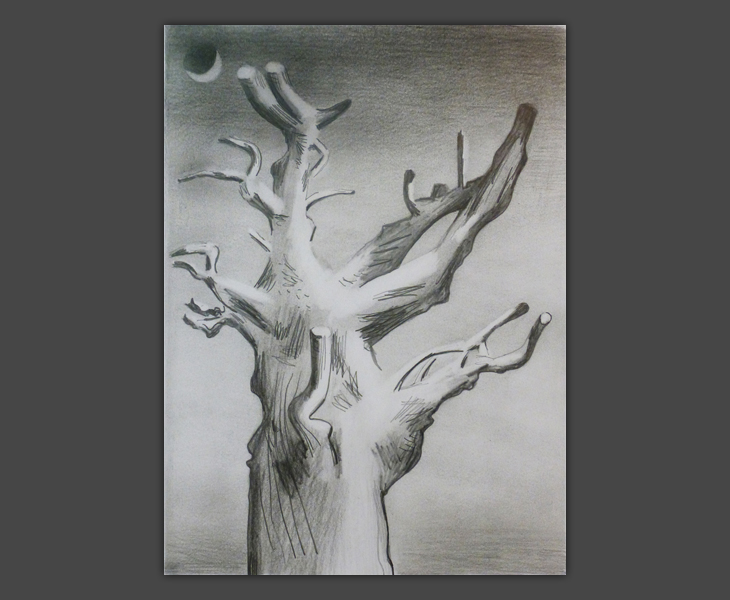 Pollarded Tree 'Night' Drawing  2012